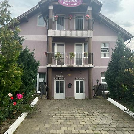 Pensiune Osanu Nagyszeben Kültér fotó