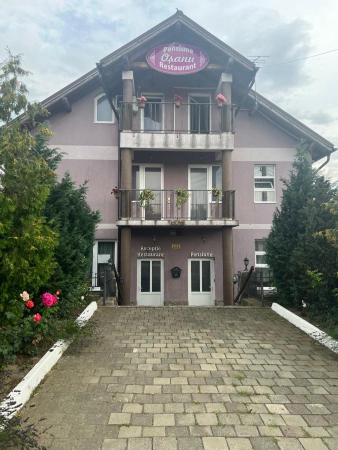 Pensiune Osanu Nagyszeben Kültér fotó